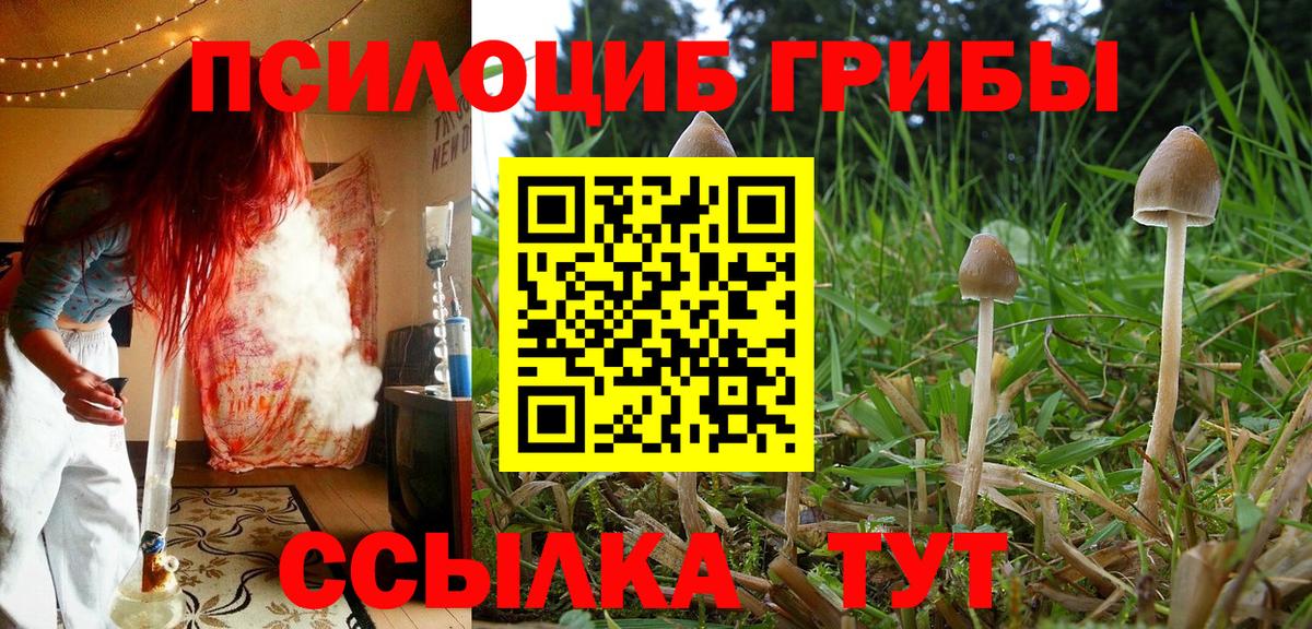 Псилоцибиновые грибы Psilocybe  Вход с VPN  Магадан  Псилоцибиновые грибы Cubensis 
