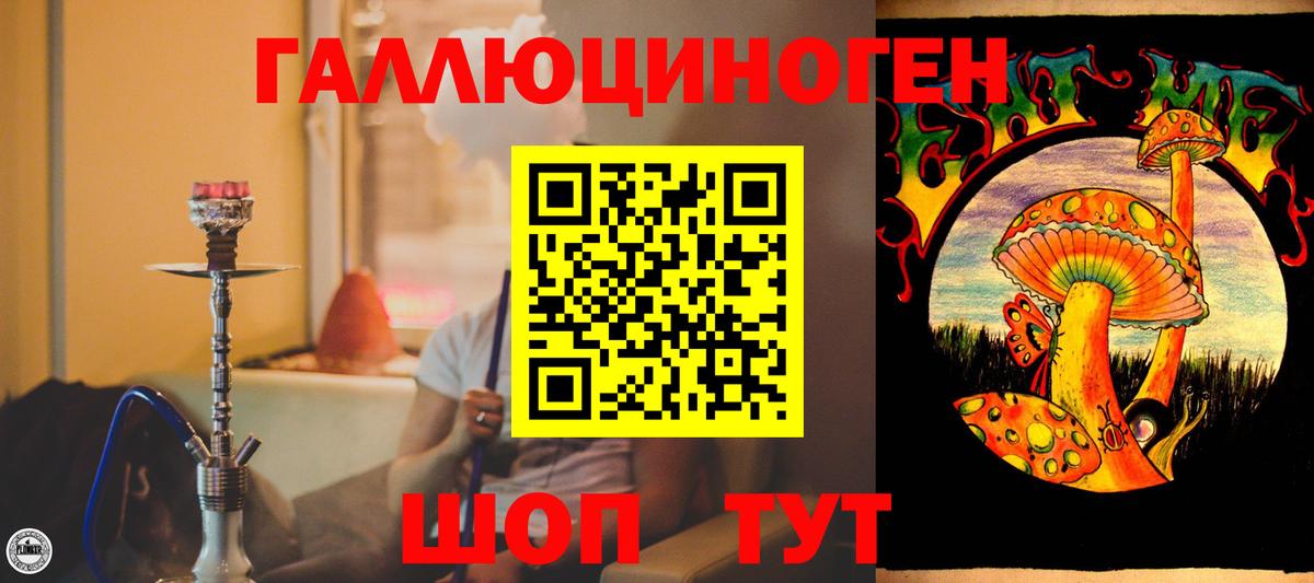 Галлюциногенные грибы Psilocybine cubensis Магадан